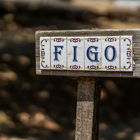 Campingplads Glamping - Quinta Do Cascalhal Arco de Baulhe