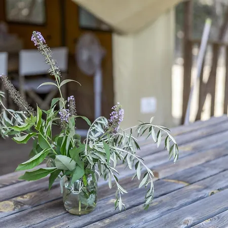 Glamping - Quinta Do Cascalhal Campsite *